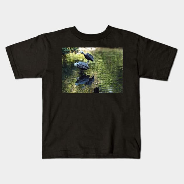 Exotic Bird and Reflection, Bronx Zoo, Bronx New York Kids T-Shirt by AxeandCo